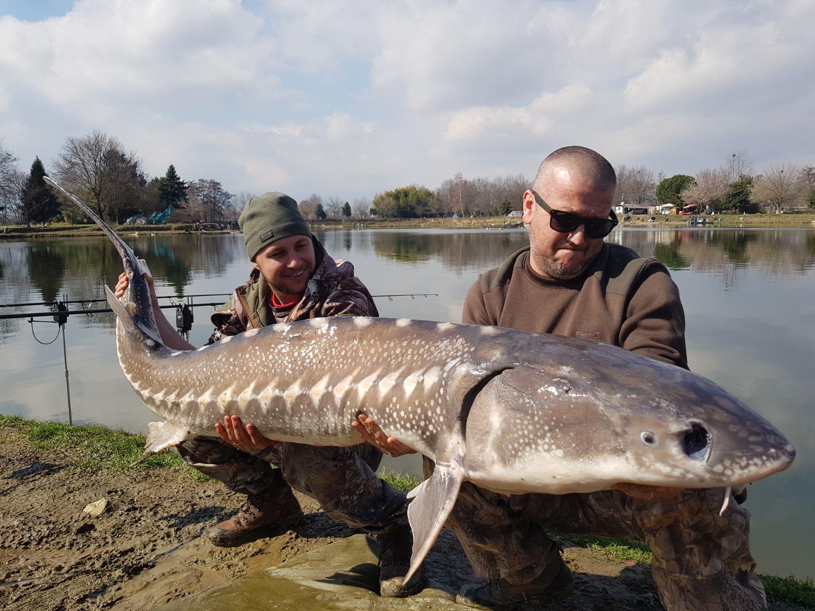 Gioia Lake - img-20180312-wa0028.jpg